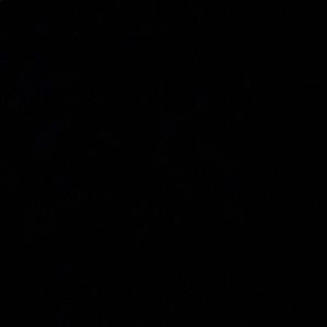 Meet your Posher, Cory